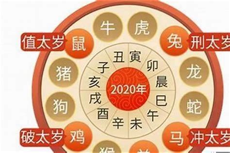 属虎人2023年运势|属虎人2023年全年运势详解 属虎2023年运势及运程每。